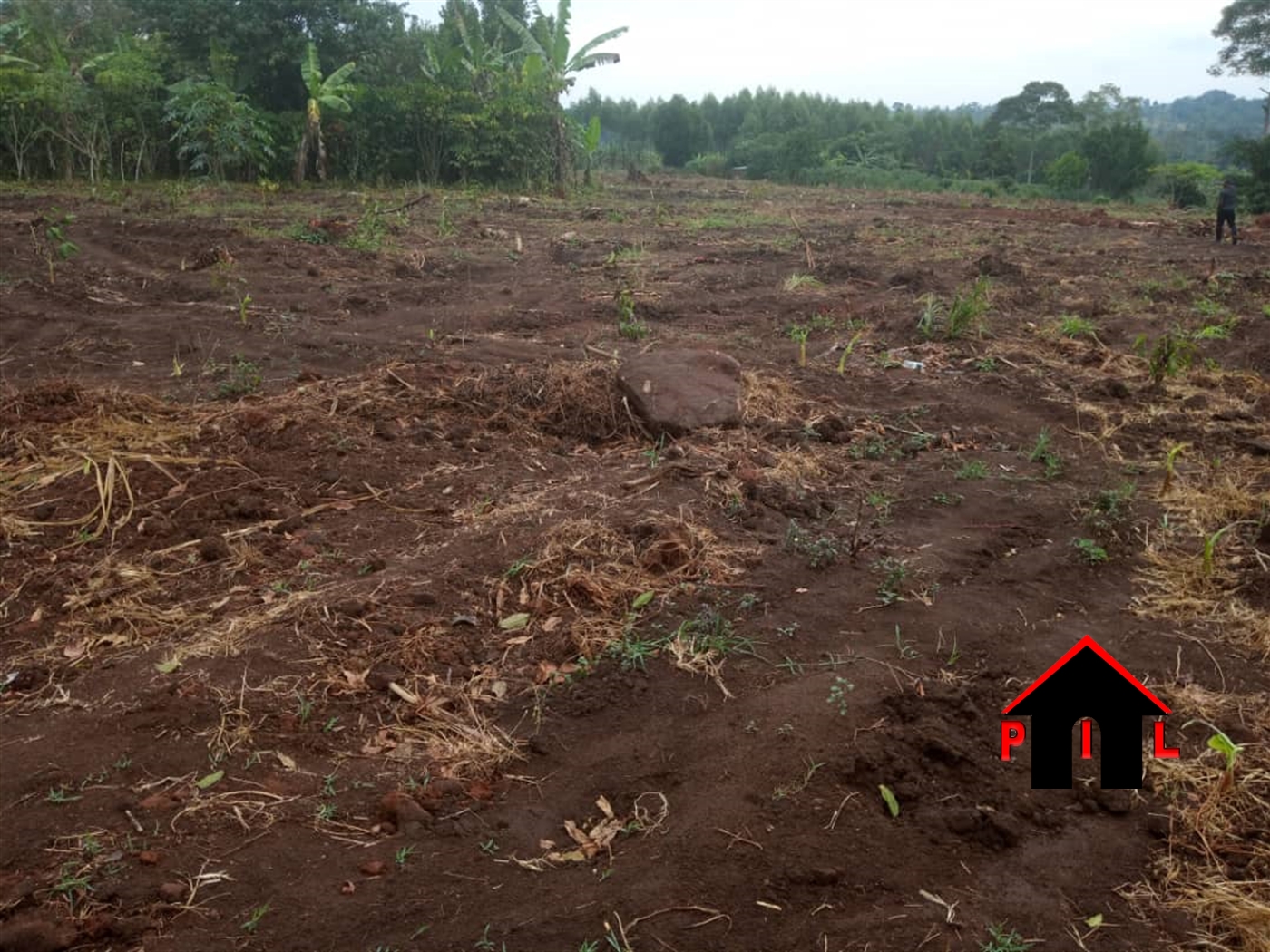 Commercial Land for sale in Kiwebwa Wakiso