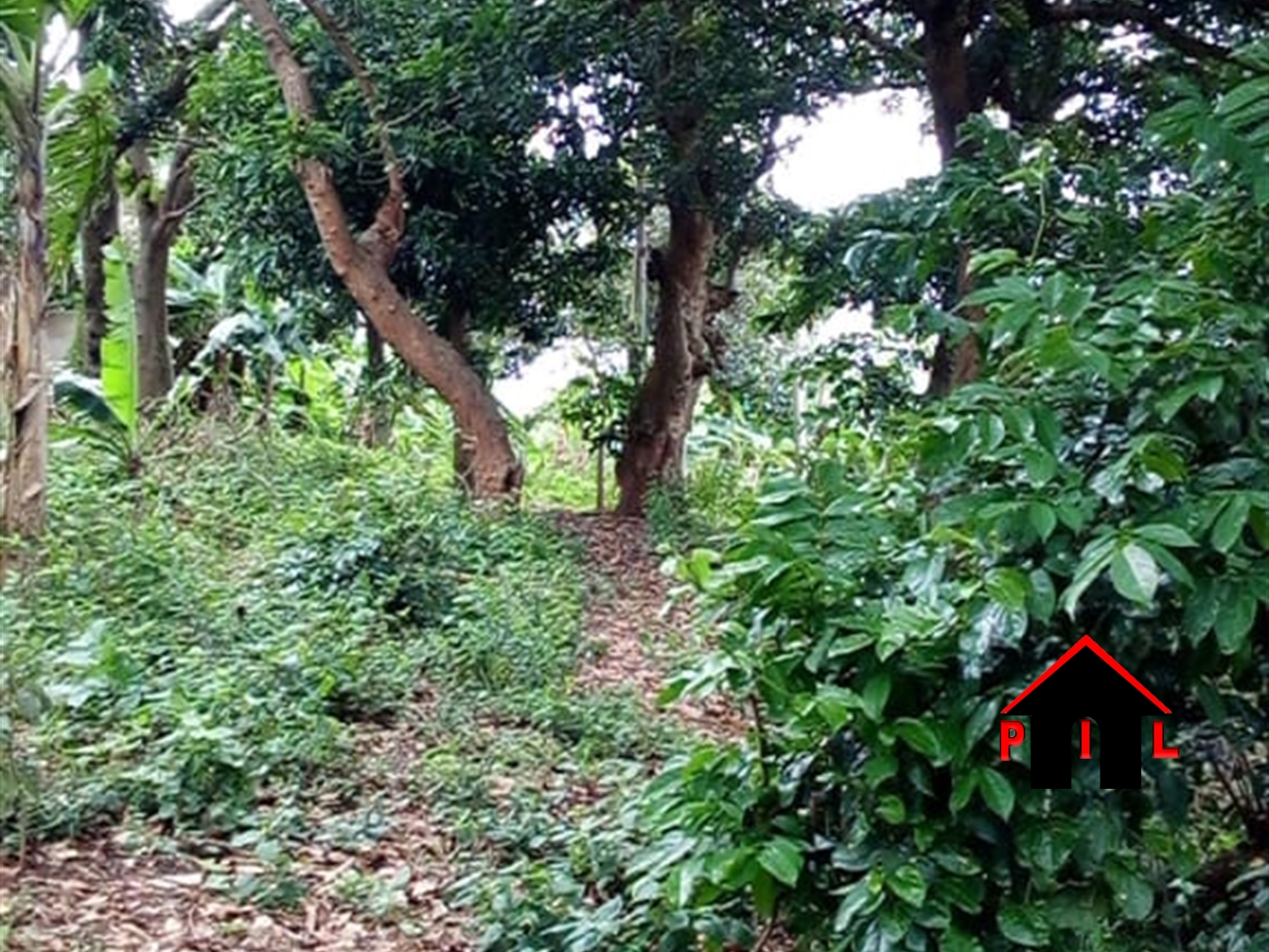 Residential Land for sale in Kitukutwe Wakiso