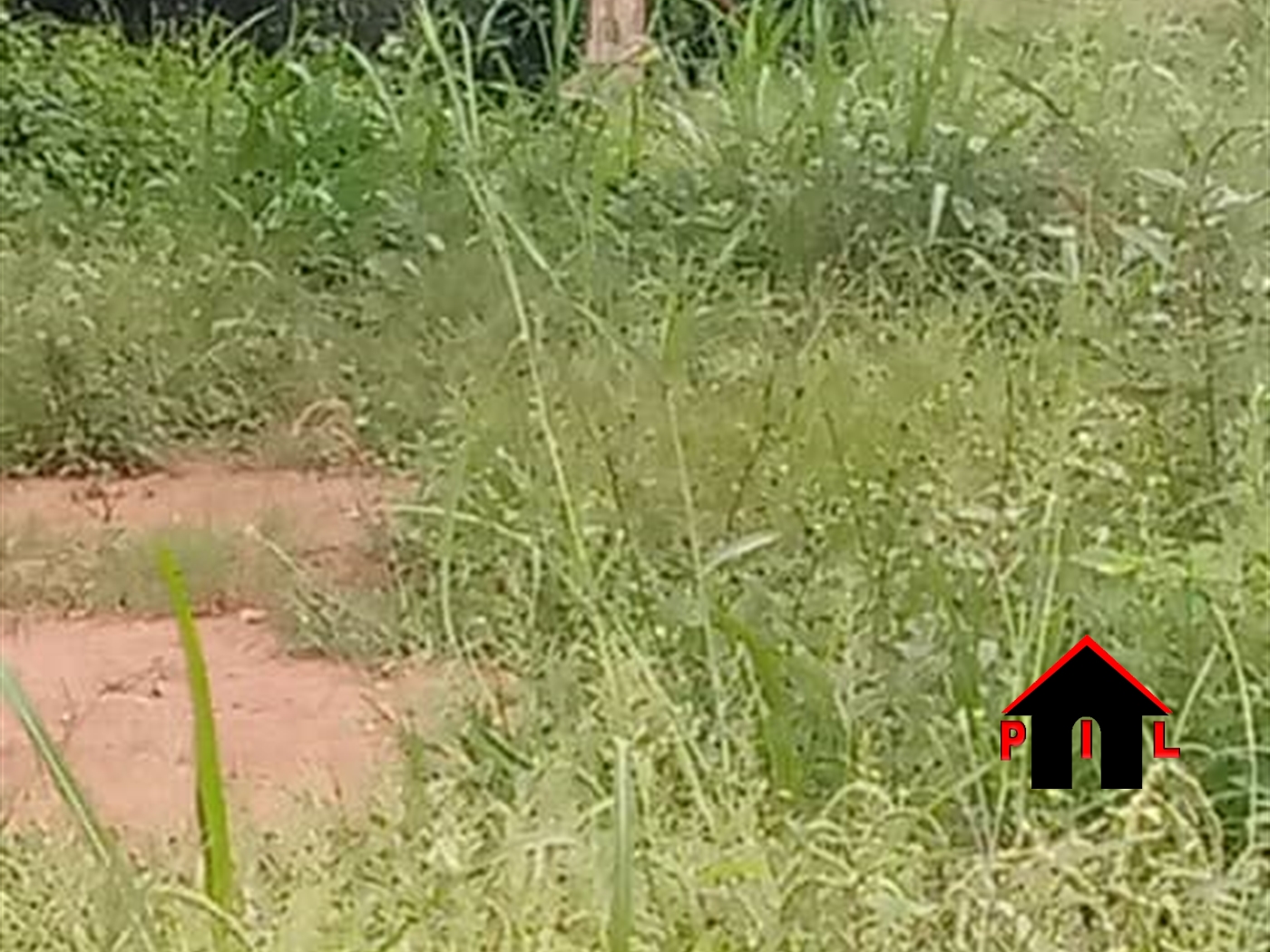 Residential Land for sale in Busukuma Wakiso