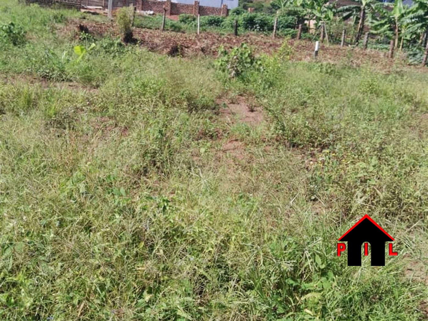 Residential Land for sale in Namulonge Wakiso