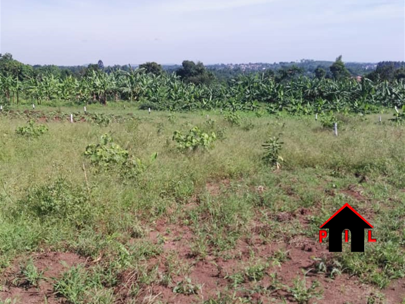 Residential Land for sale in Namulonge Wakiso