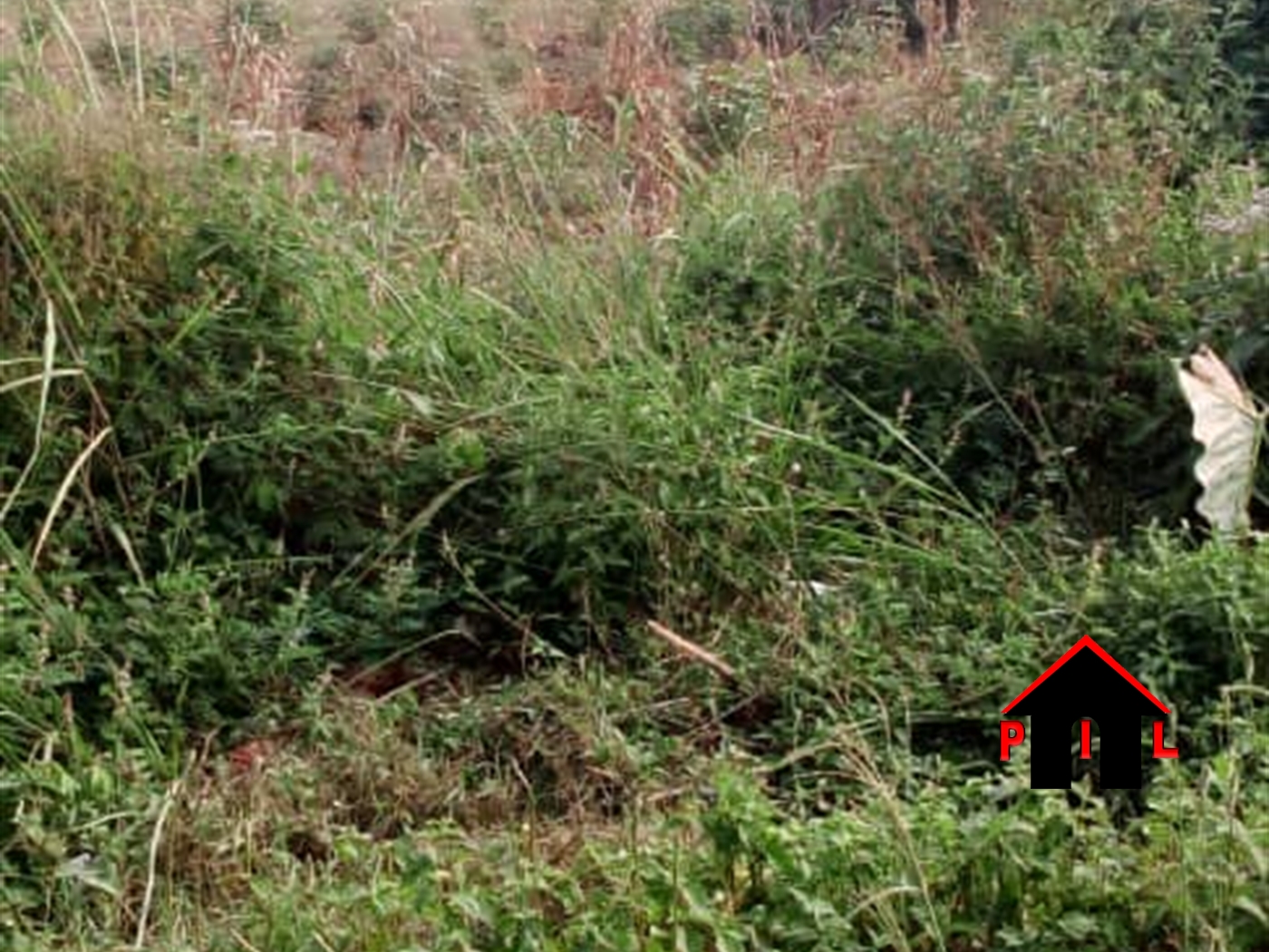 Commercial Land for sale in Maya Mpigi