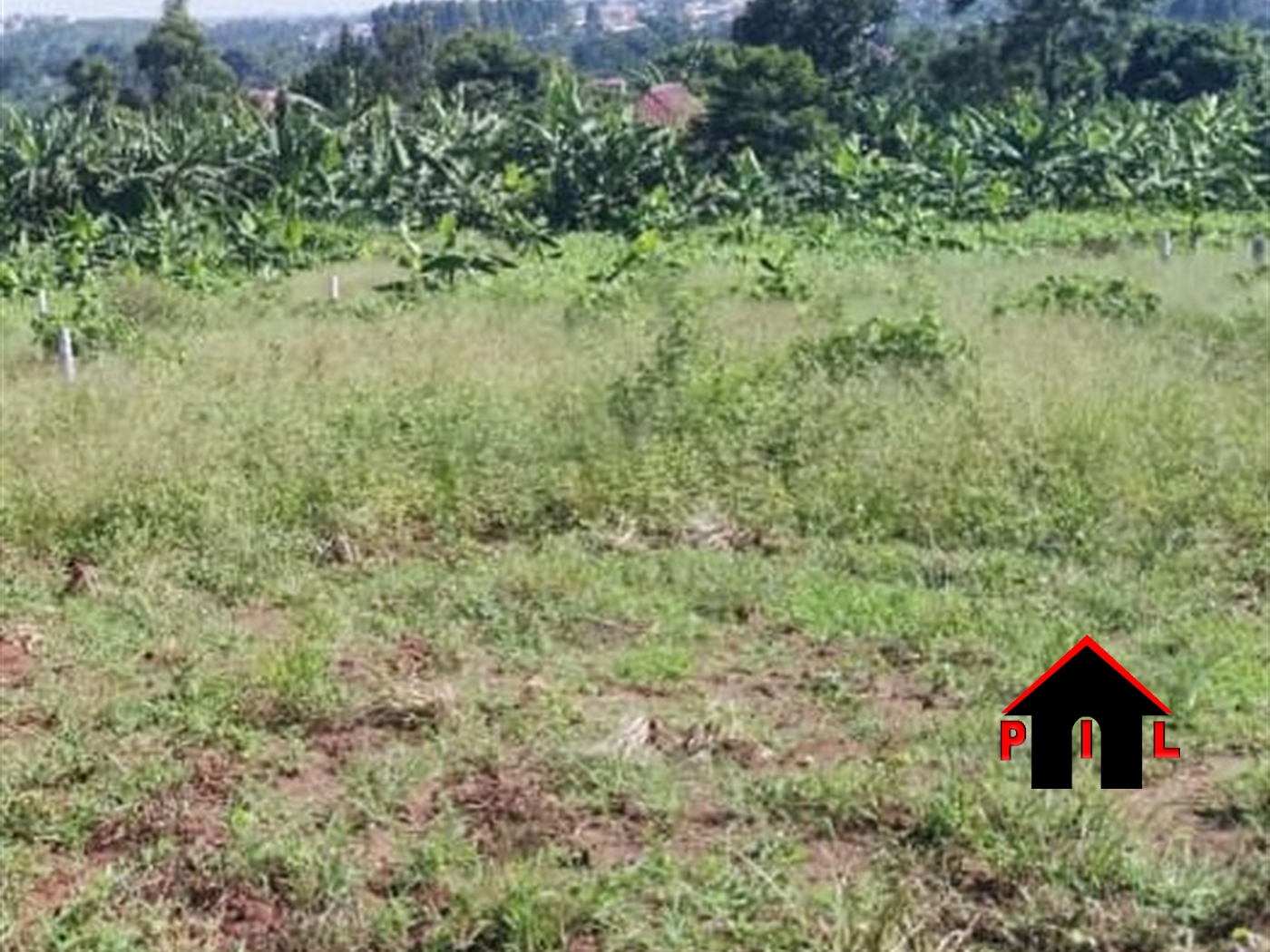 Residential Land for sale in Buziga Kampala