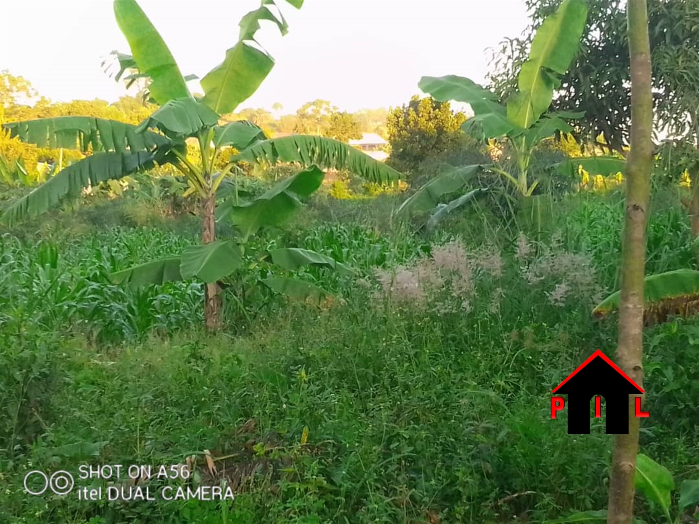 Residential Land for sale in Buloba Wakiso