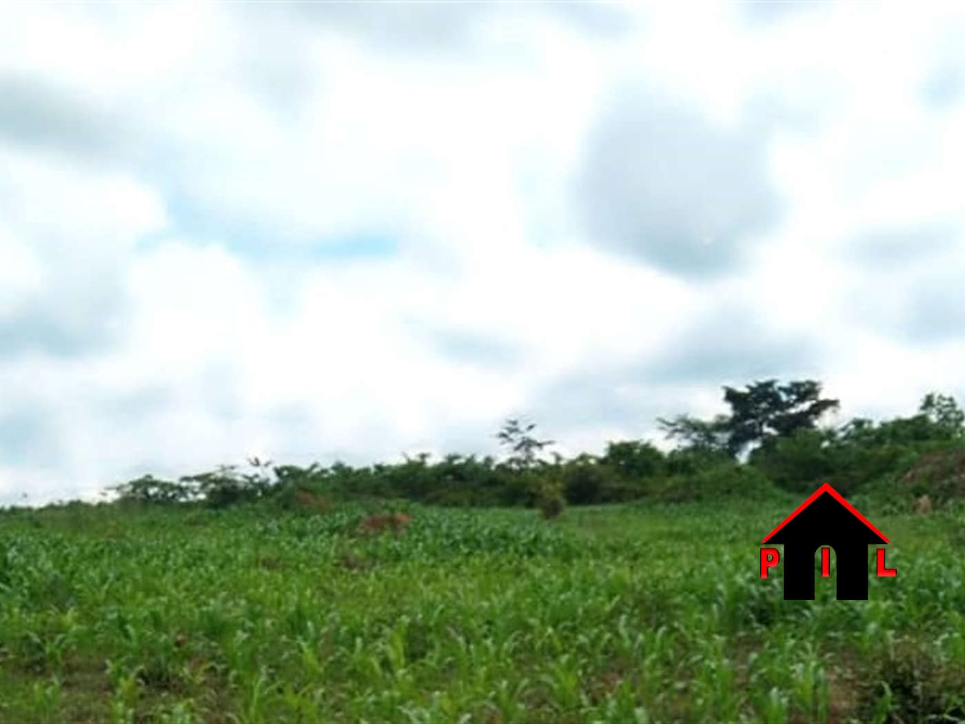 Commercial Land for sale in Kireka Wakiso