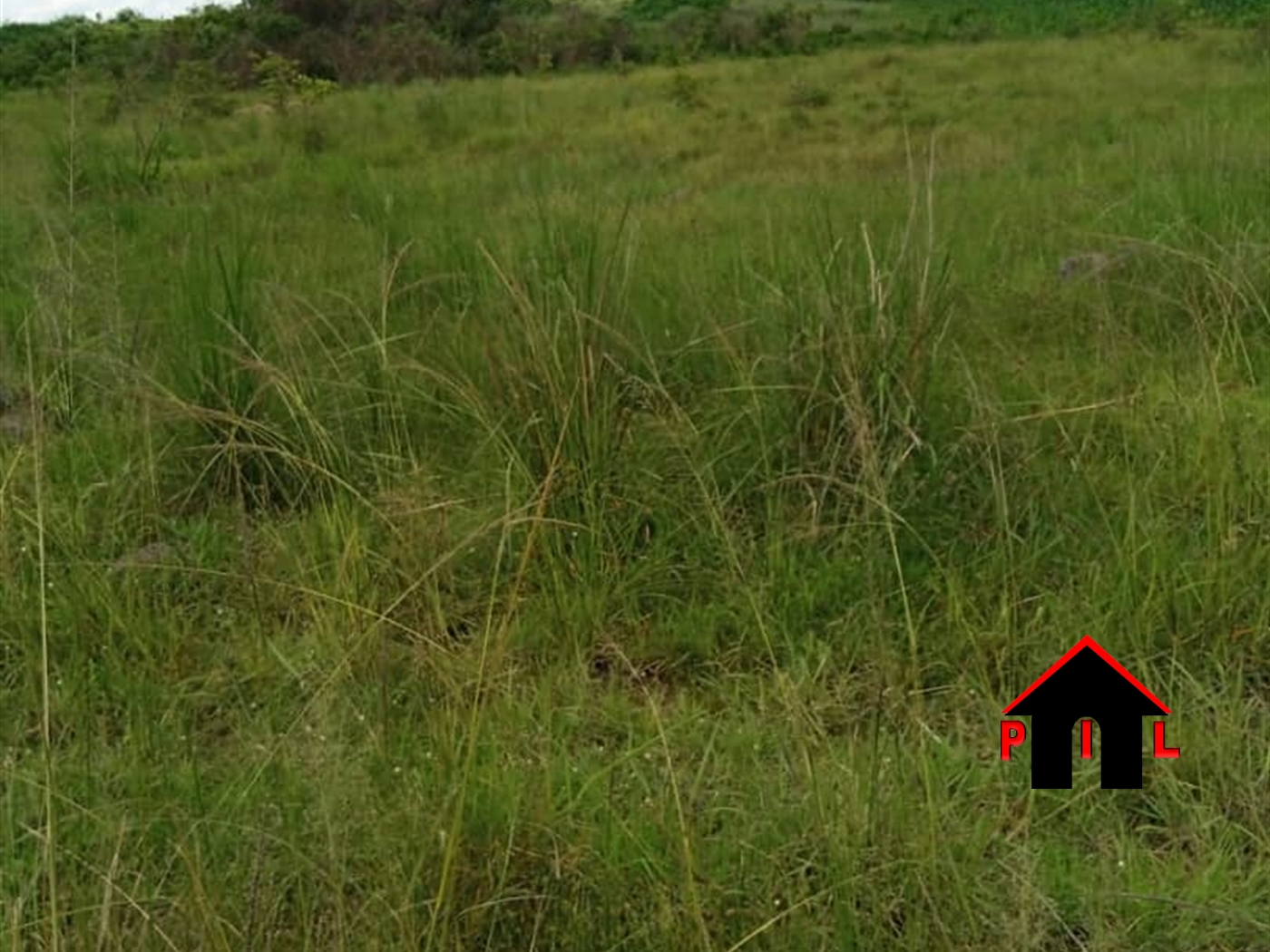 Commercial Land for sale in Kireka Wakiso