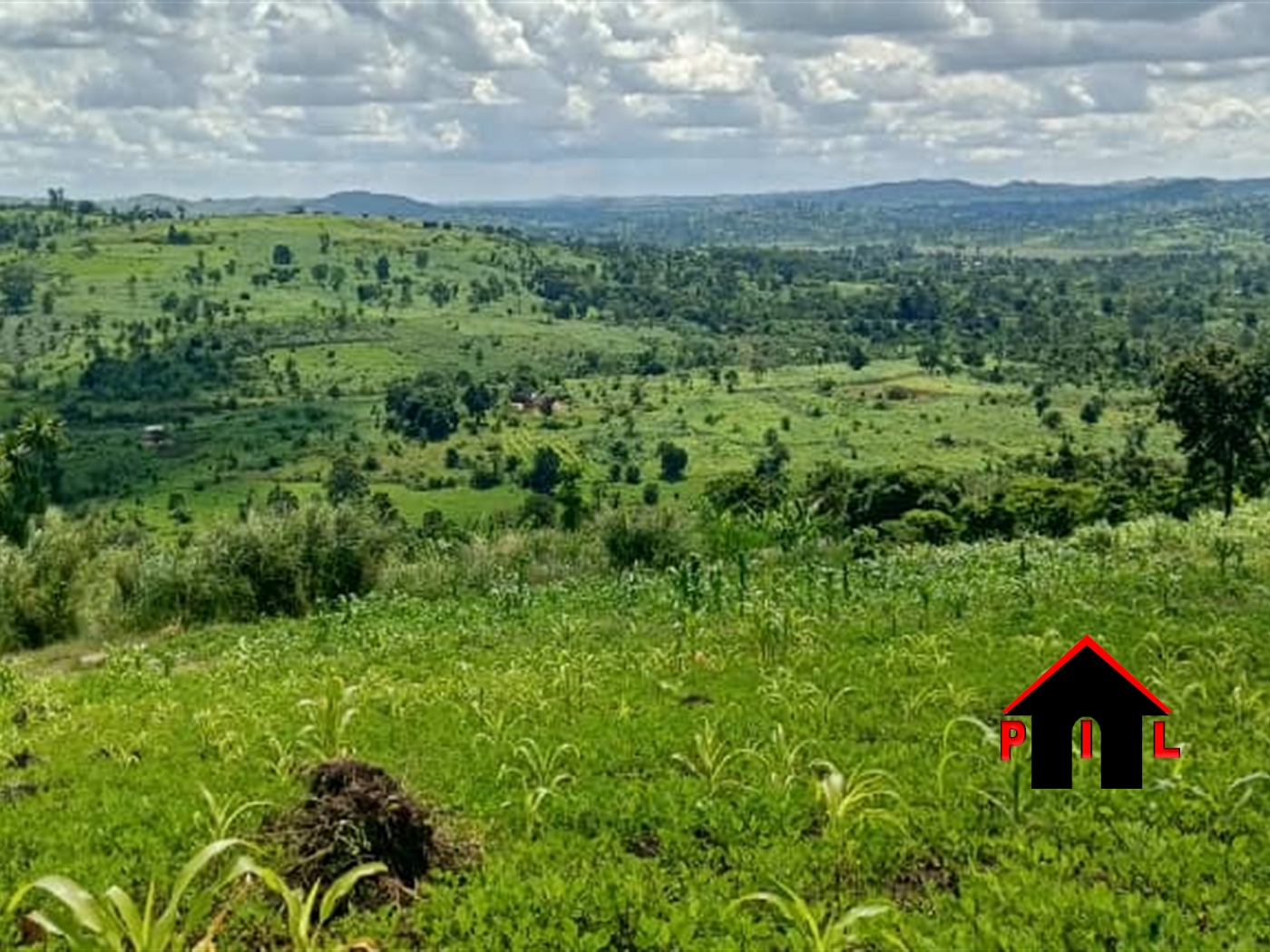 Commercial Land for sale in Kyaka Kyegegwa