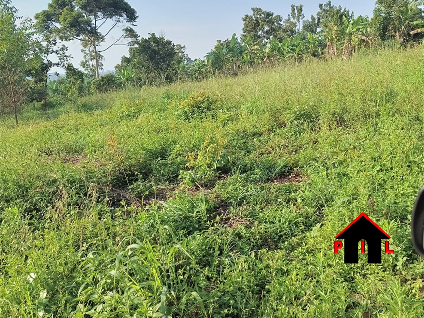 Commercial Land for sale in Kiwenda Wakiso