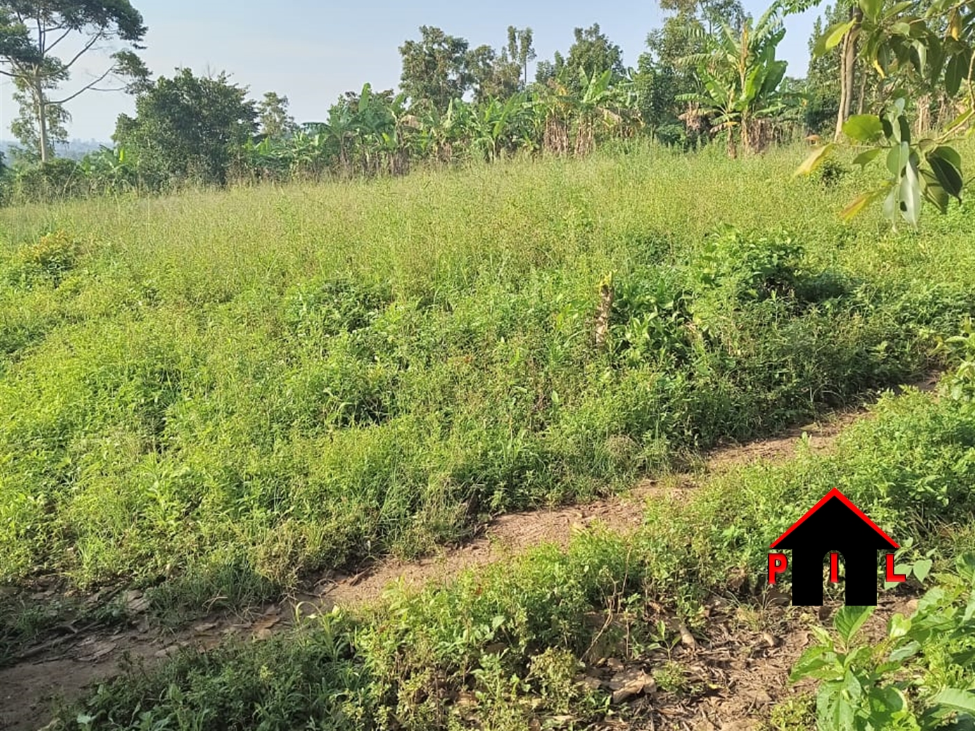 Commercial Land for sale in Kiwenda Wakiso