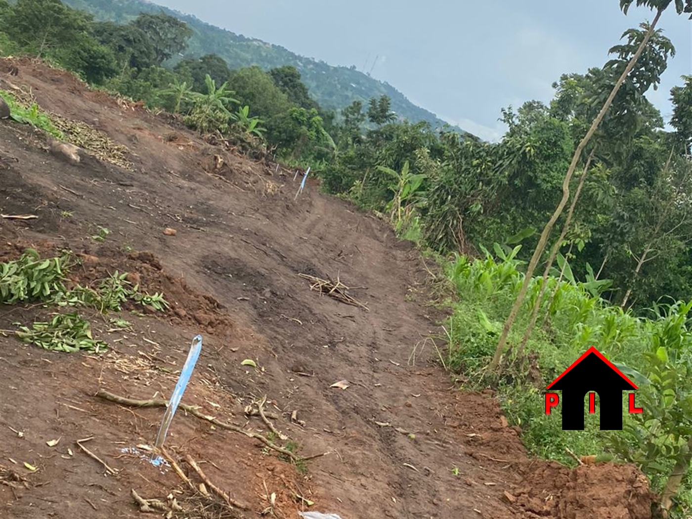 Residential Land for sale in Bwebajja Wakiso