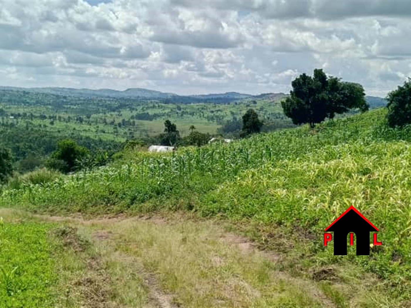 Residential Land for sale in Bukeelele Mukono