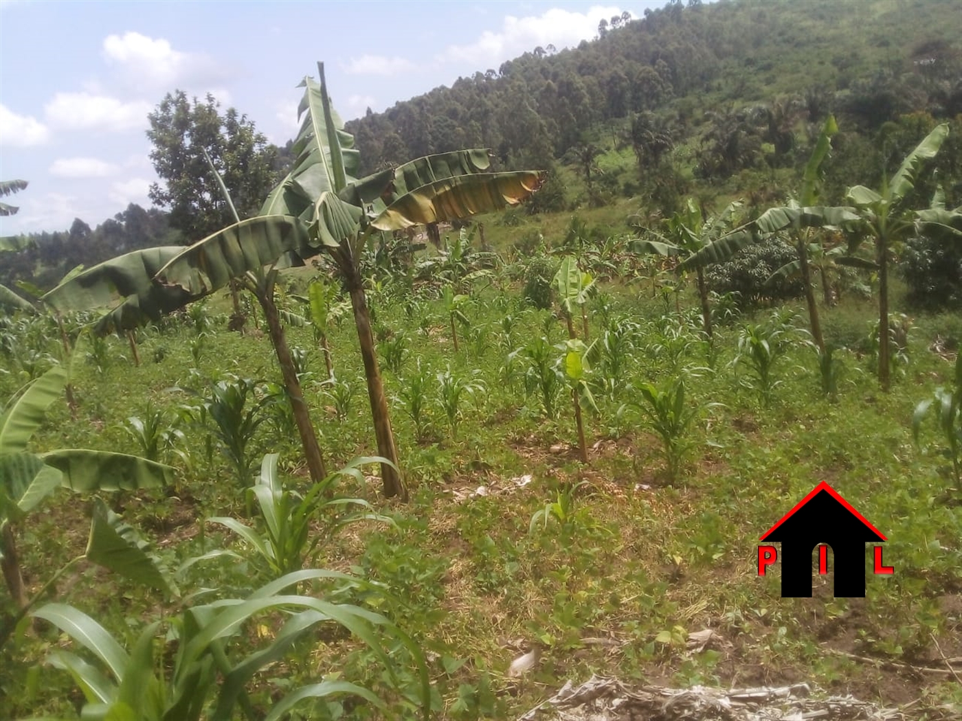 Residential Land for sale in Nakassajja Mukono