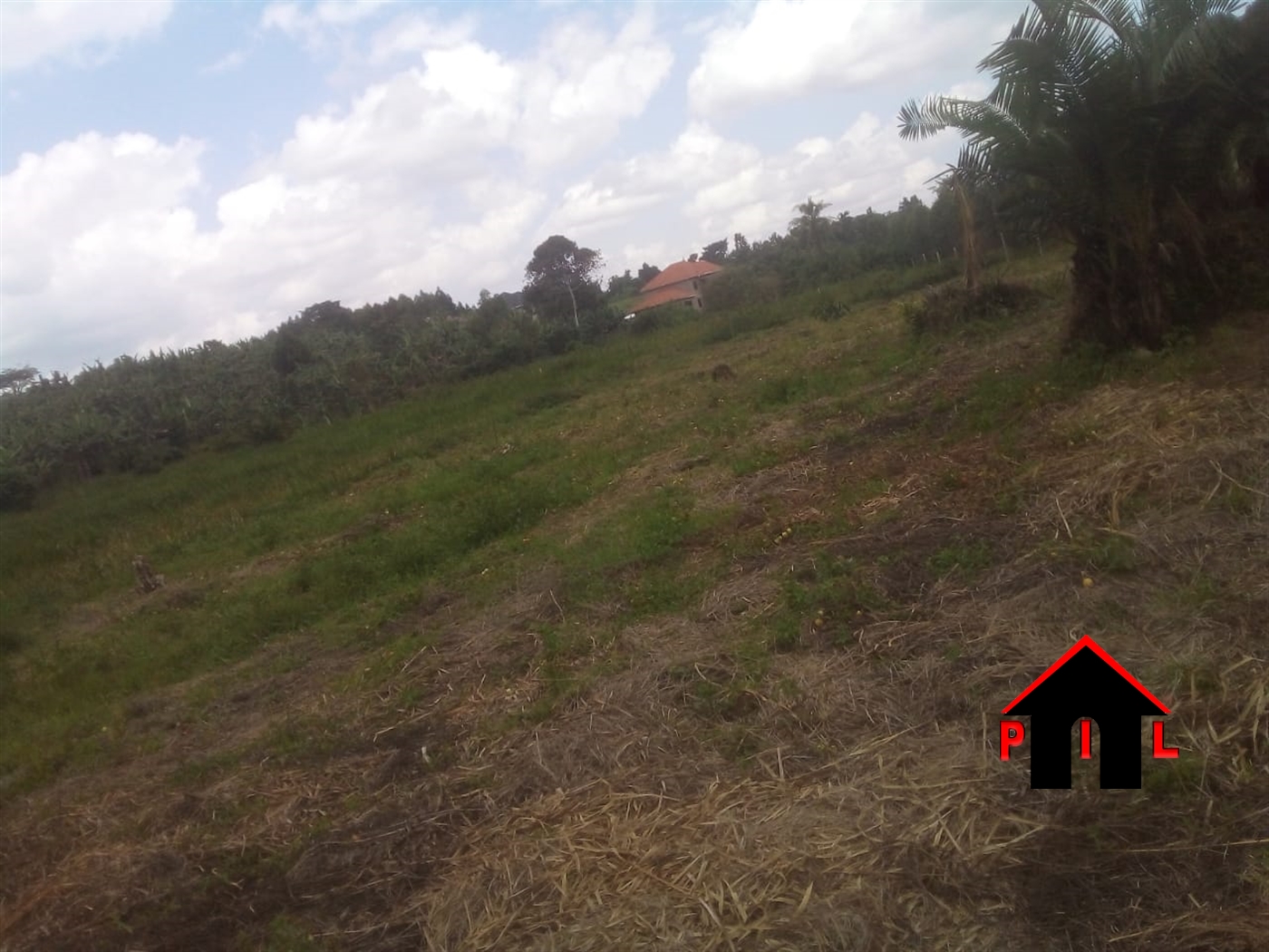 Residential Land for sale in Nakassajja Mukono