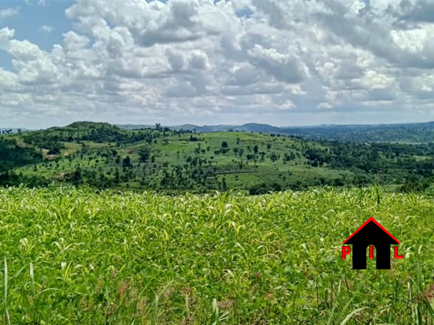 Residential Land for sale in Kajjansi Wakiso