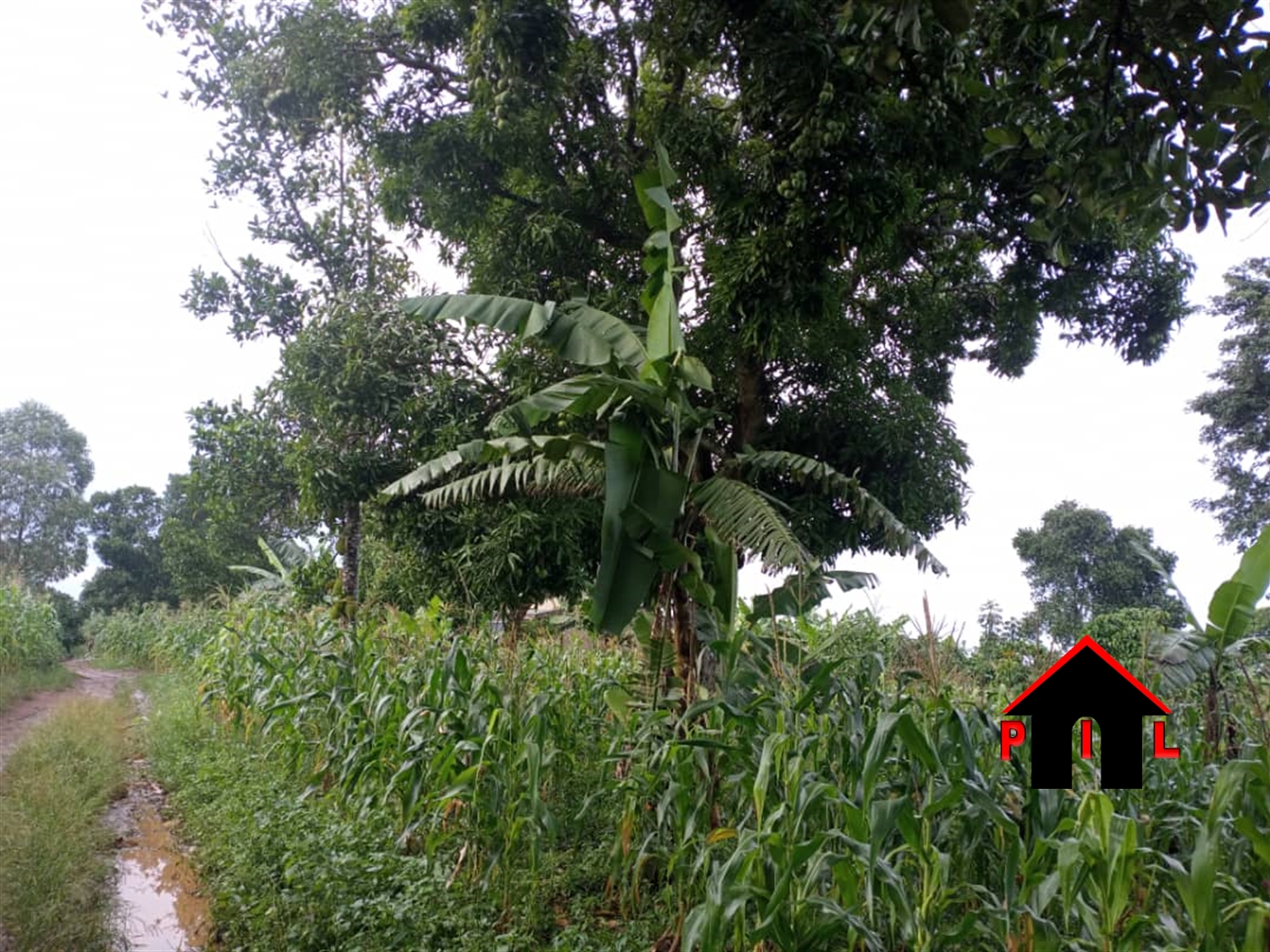 Residential Land for sale in Katende Wakiso