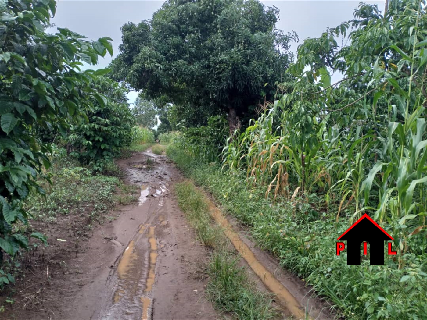 Residential Land for sale in Sonde Wakiso