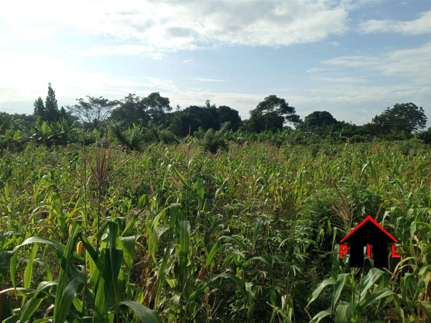 Residential Land for sale in Sonde Wakiso