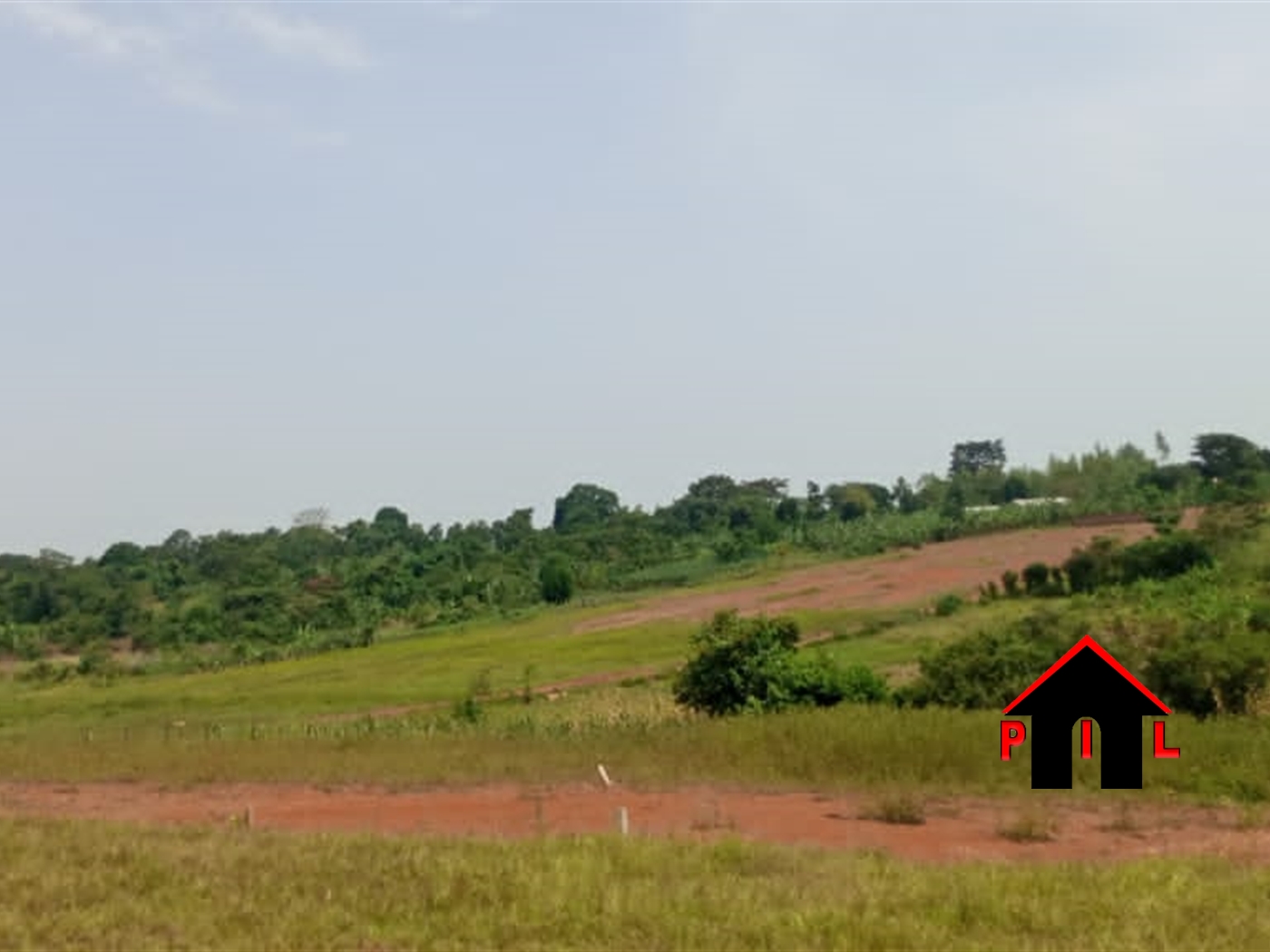 Agricultural Land for sale in Kiwesa Mityana