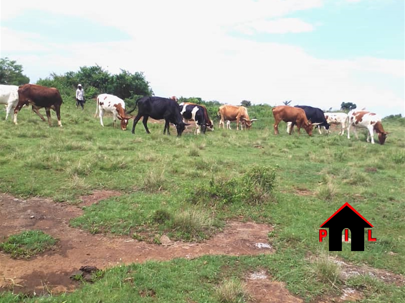 Residential Land for sale in Ssanga Wakiso