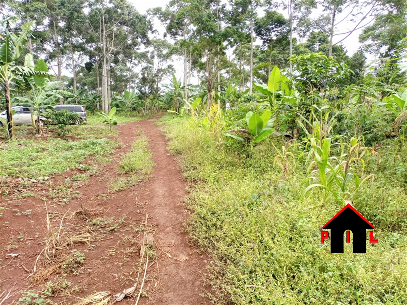 Agricultural Land for sale in Nkokonjeru Mukono