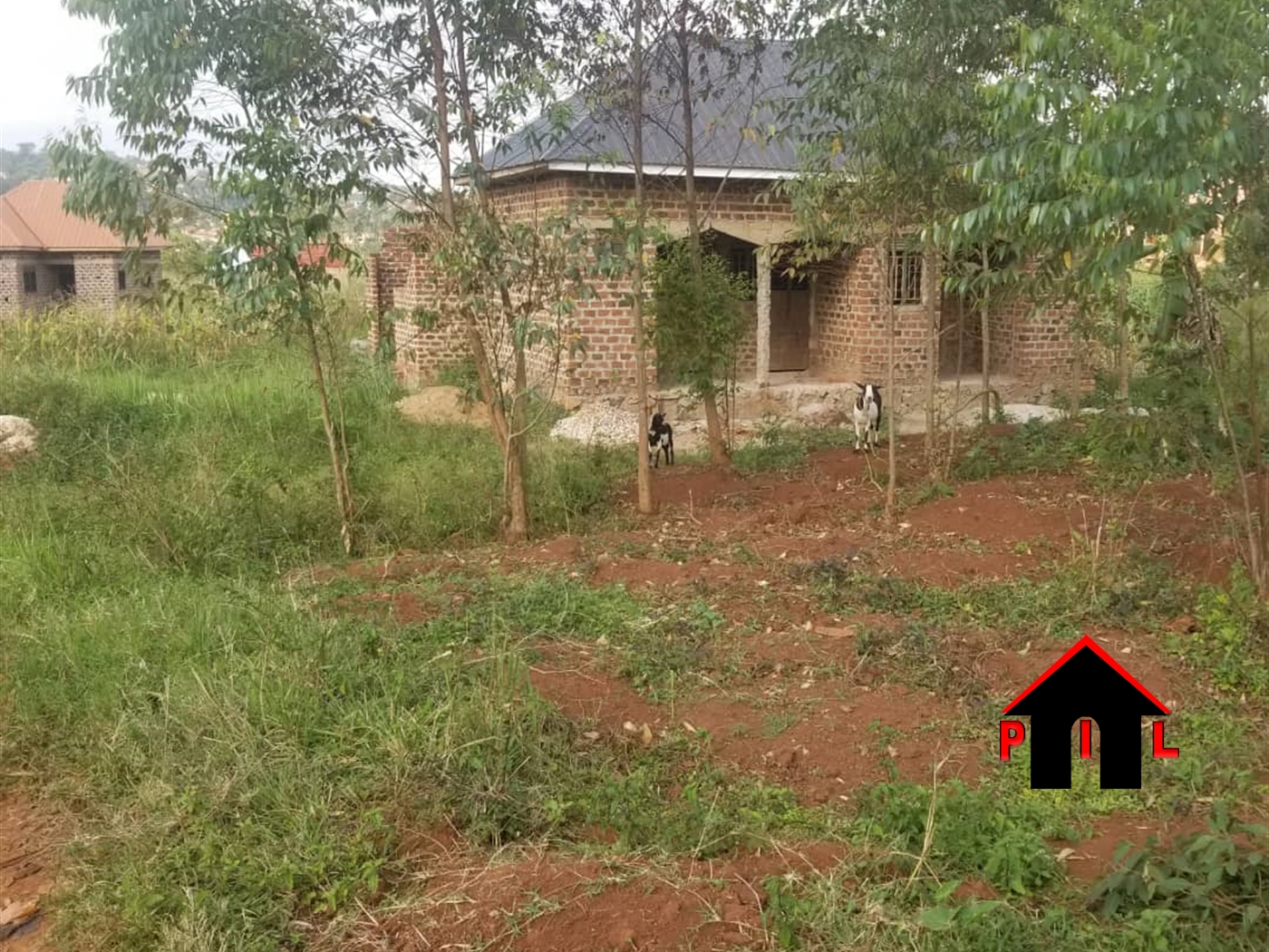 Agricultural Land for sale in Lugasa Buyikwe