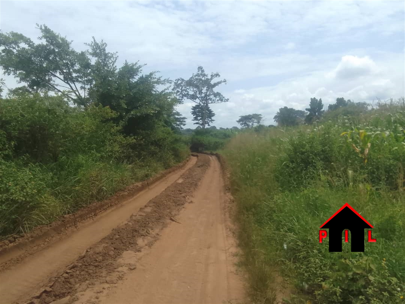 Agricultural Land for sale in Buwooya Buyikwe