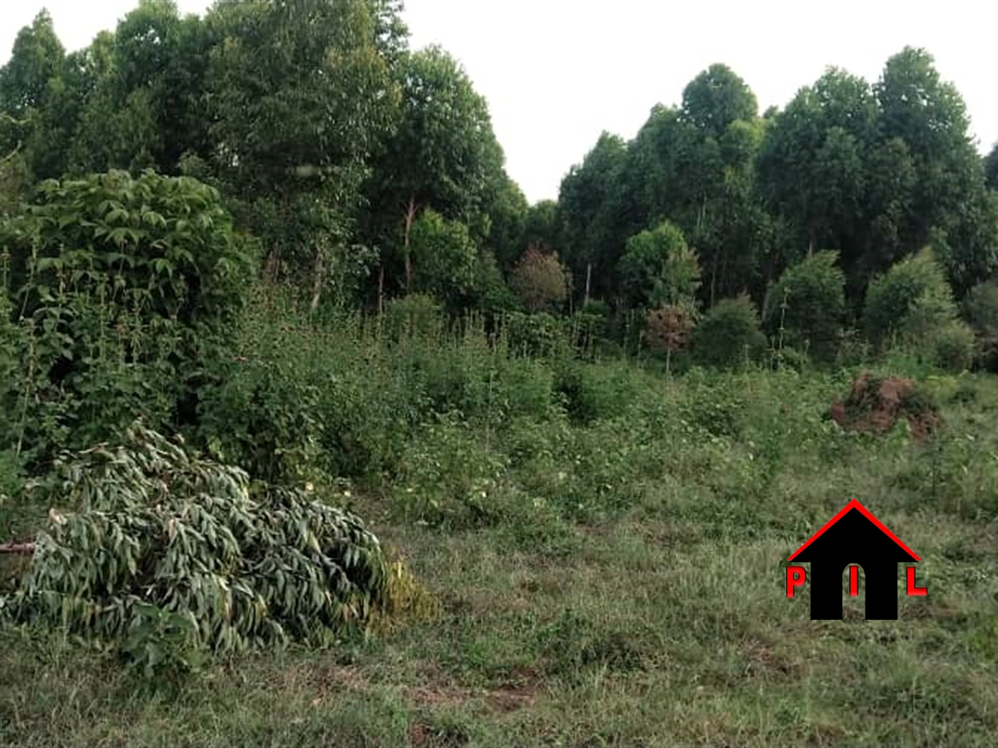 Residential Land for sale in Kyanja Kampala