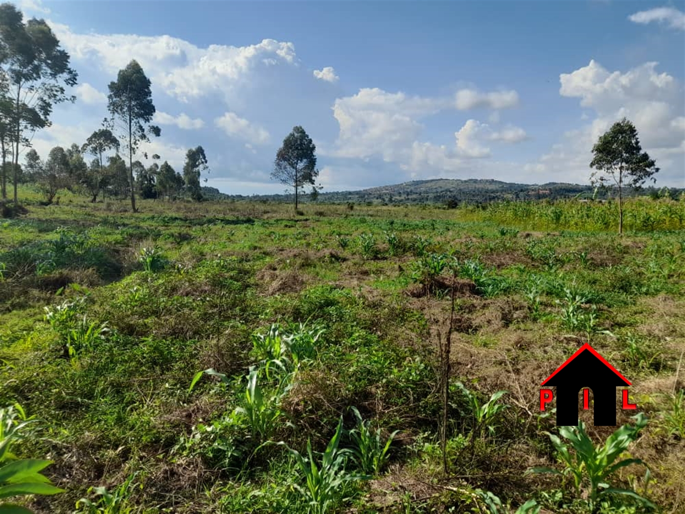 Residential Land for sale in Nakweelo Wakiso