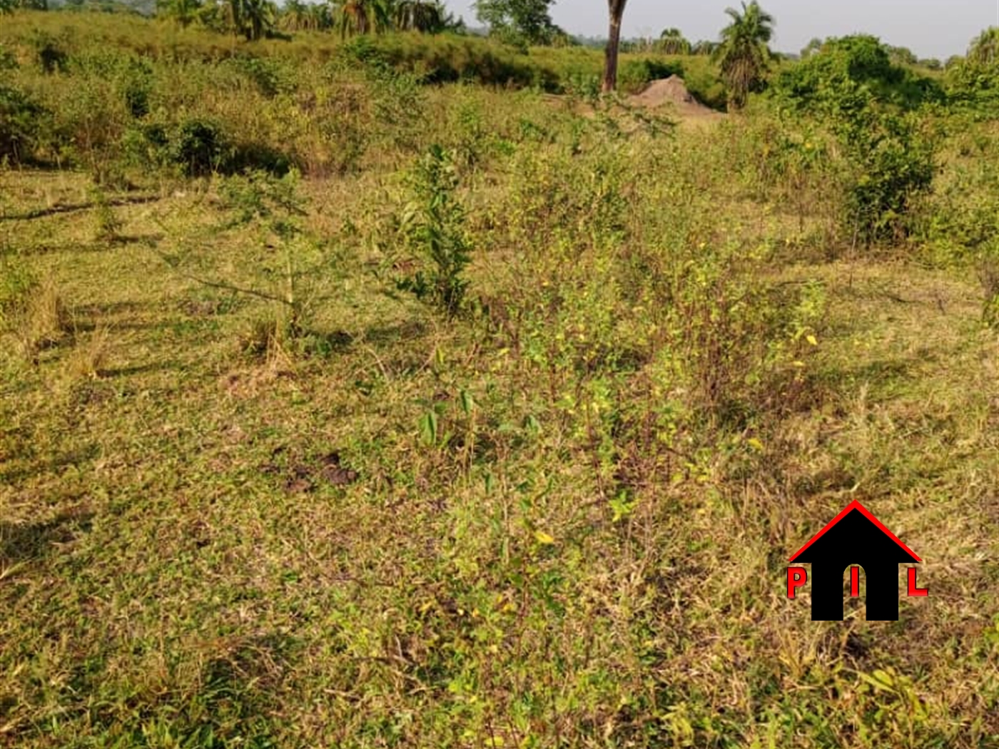 Residential Land for sale in Kira Wakiso