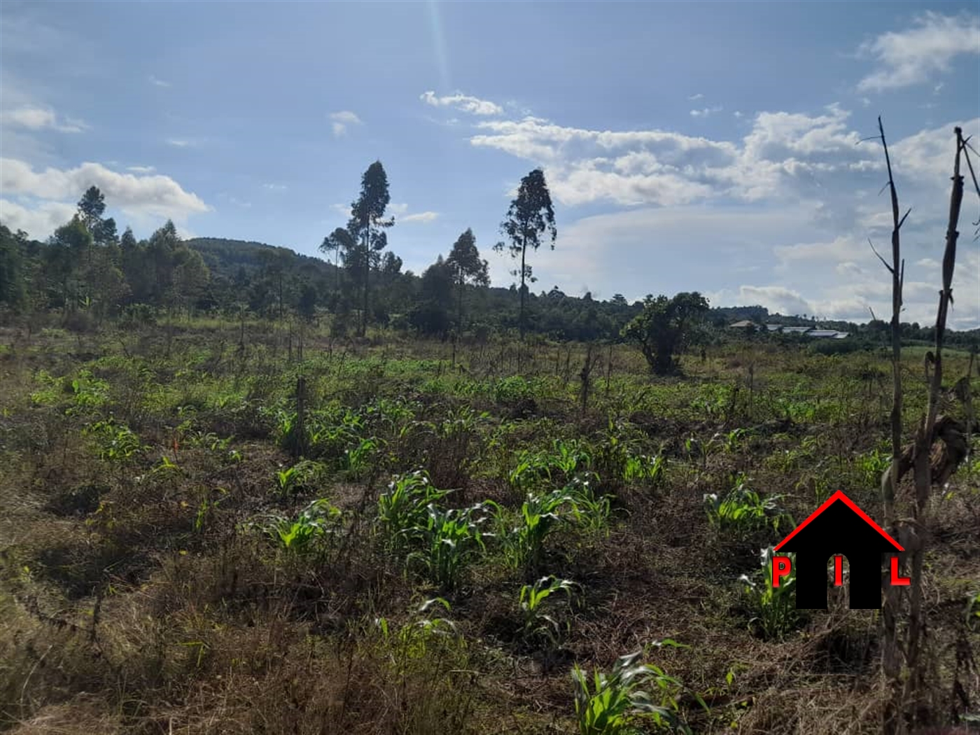 Residential Land for sale in Nkokonjeru Buyikwe