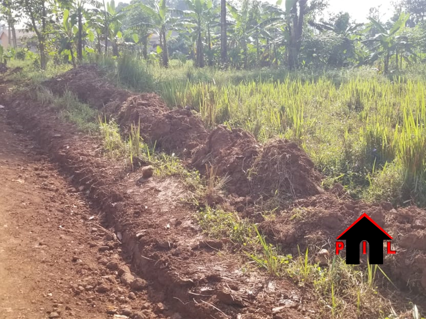 Residential Land for sale in Kabembe Mukono