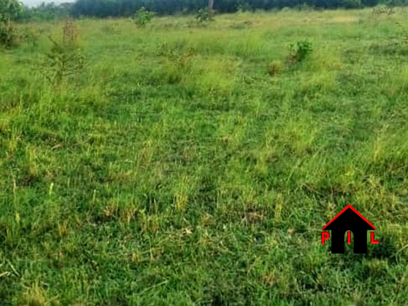 Commercial Land for sale in Biharwe Mbarara