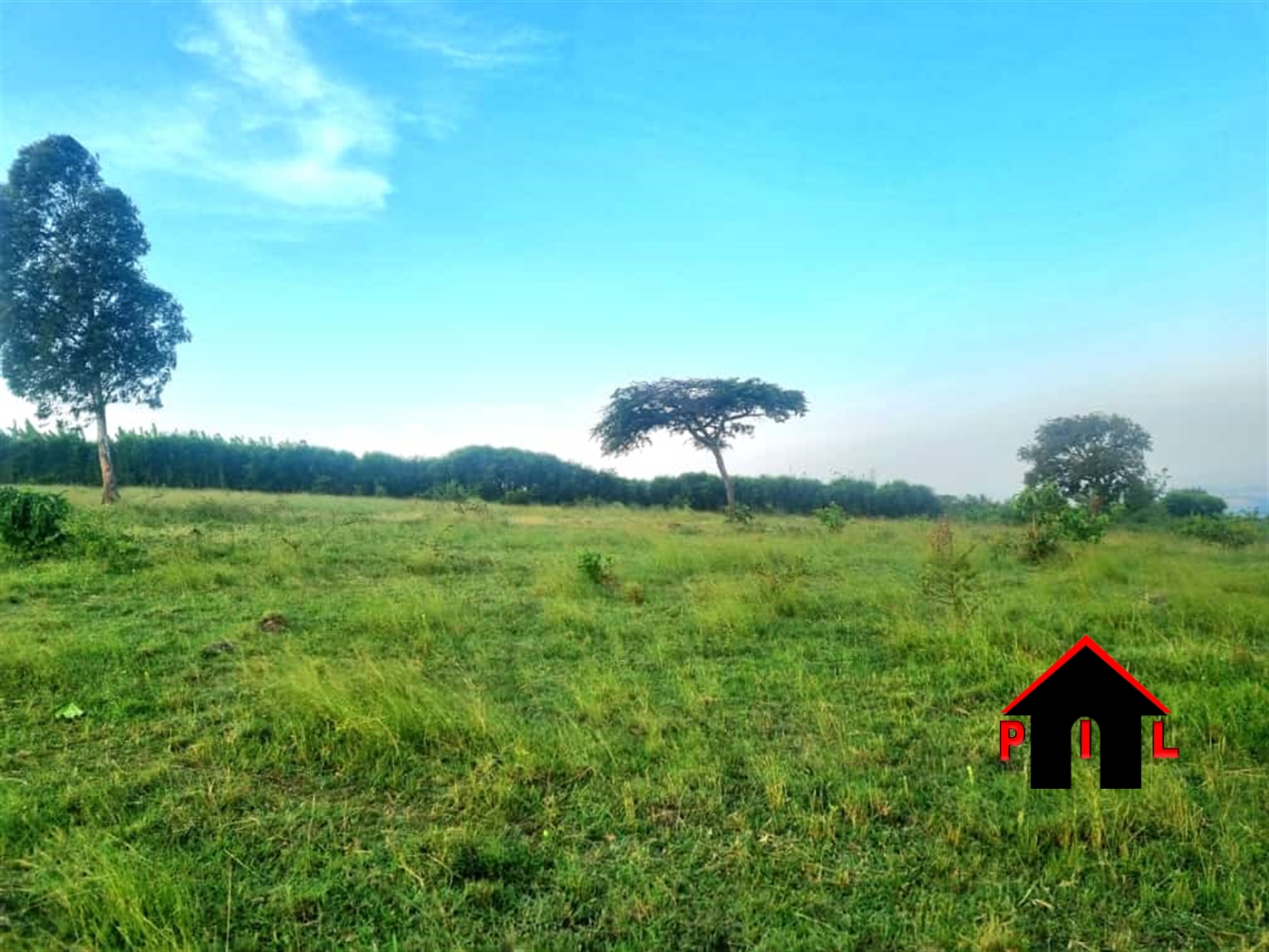 Commercial Land for sale in Biharwe Mbarara