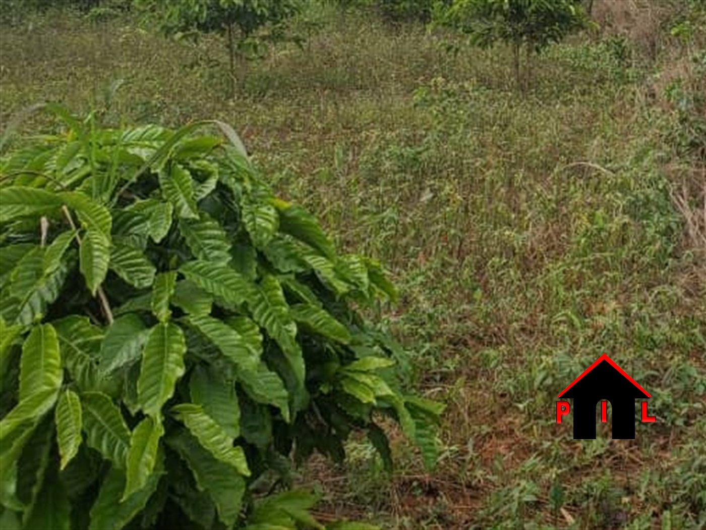 Residential Land for sale in Shimoni Wakiso