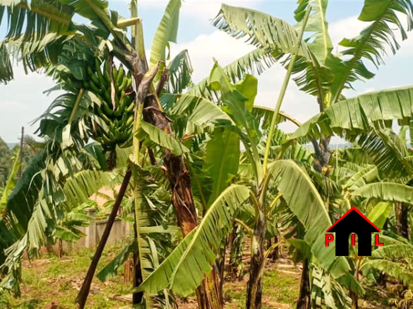 Commercial Land for sale in Seguku Wakiso