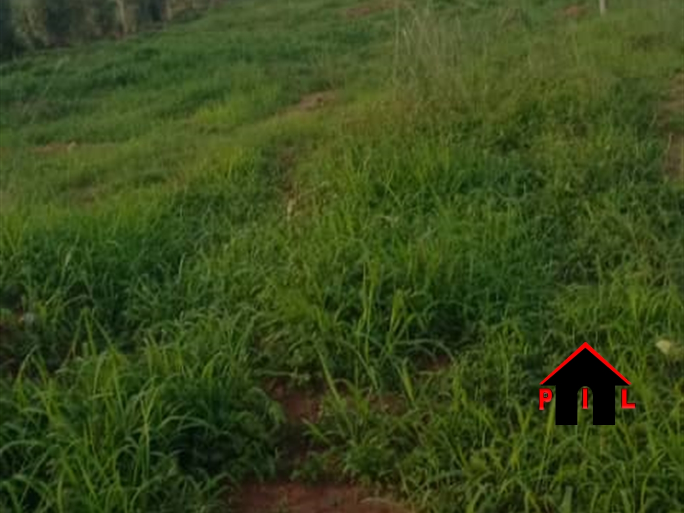 Commercial Land for sale in Seguku Wakiso