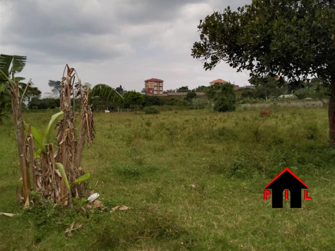 Residential Land for sale in Nsasa Wakiso