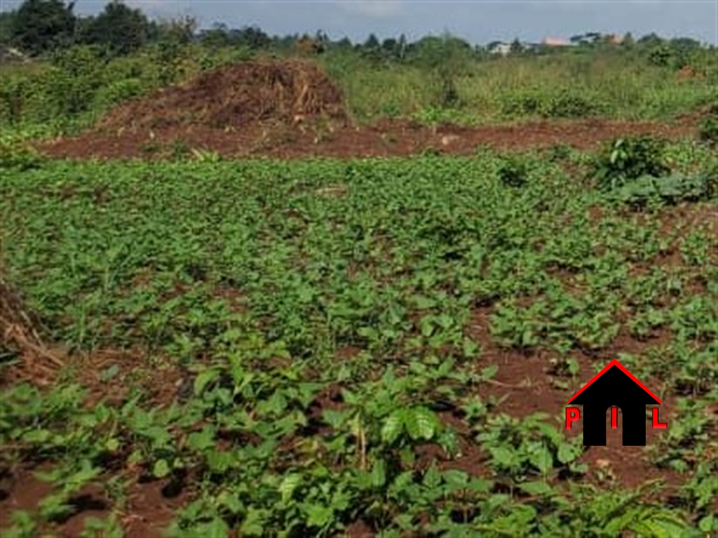 Residential Land for sale in Nsasa Wakiso