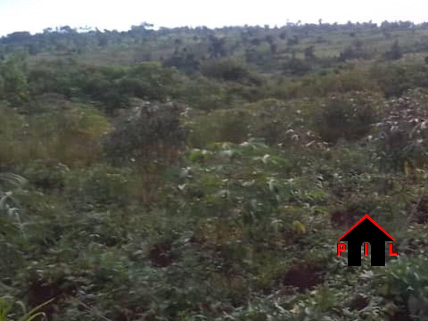 Residential Land for sale in Nabusugwe Mukono