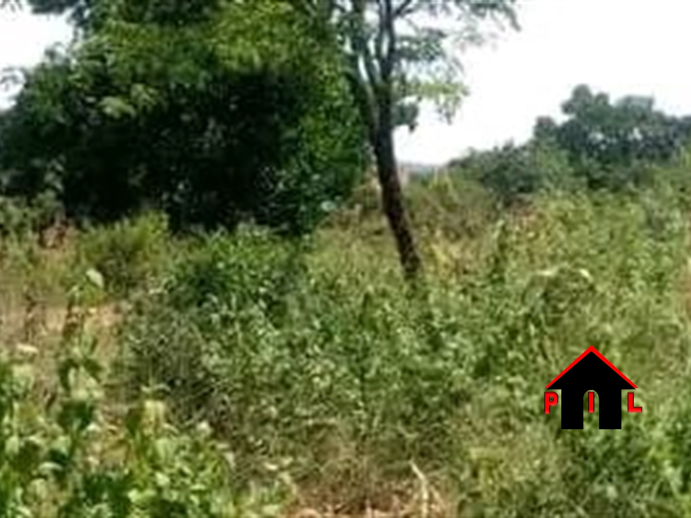 Residential Land for sale in Nsasa Wakiso