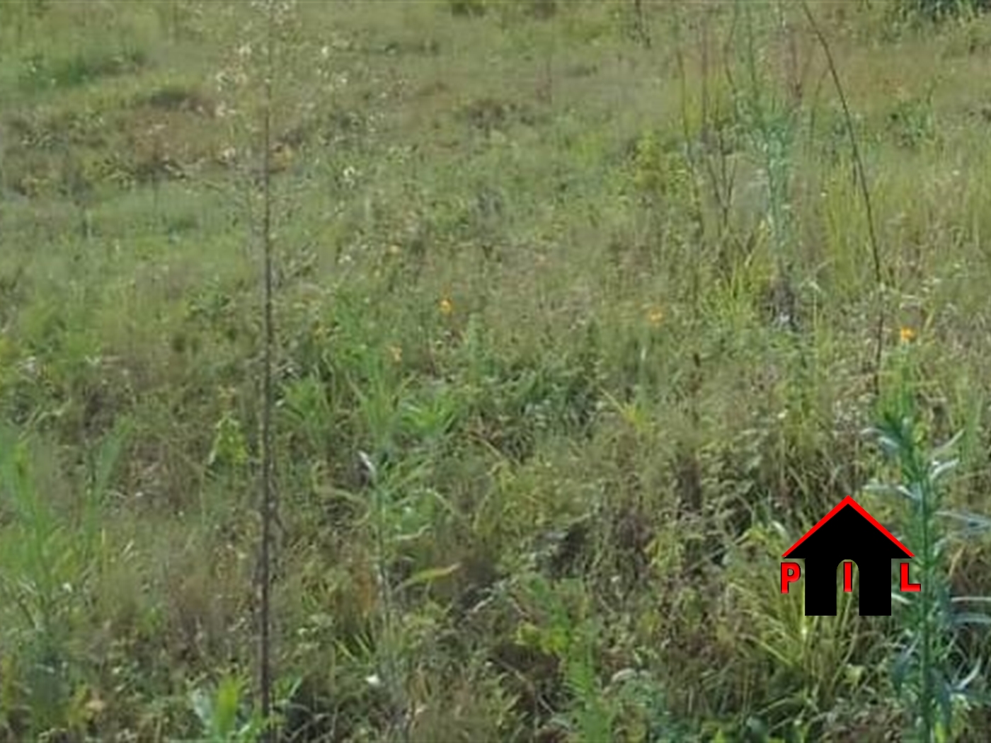 Residential Land for sale in Nabusugwe Mukono