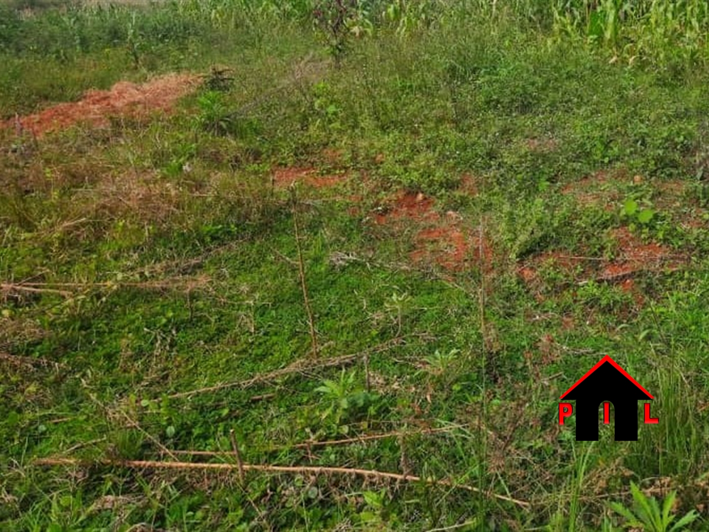 Residential Land for sale in Busukuma Wakiso