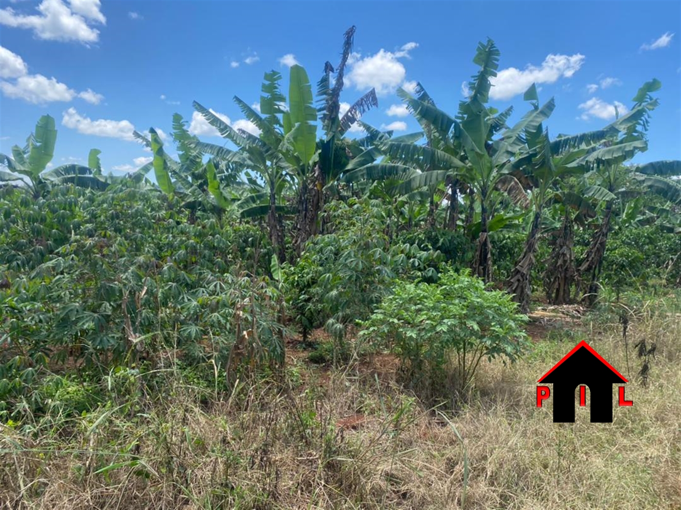 Residential Land for sale in Nakweelo Wakiso