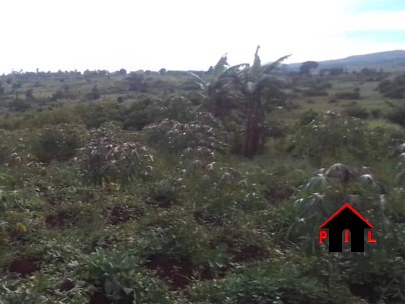 Residential Land for sale in Nakweelo Wakiso