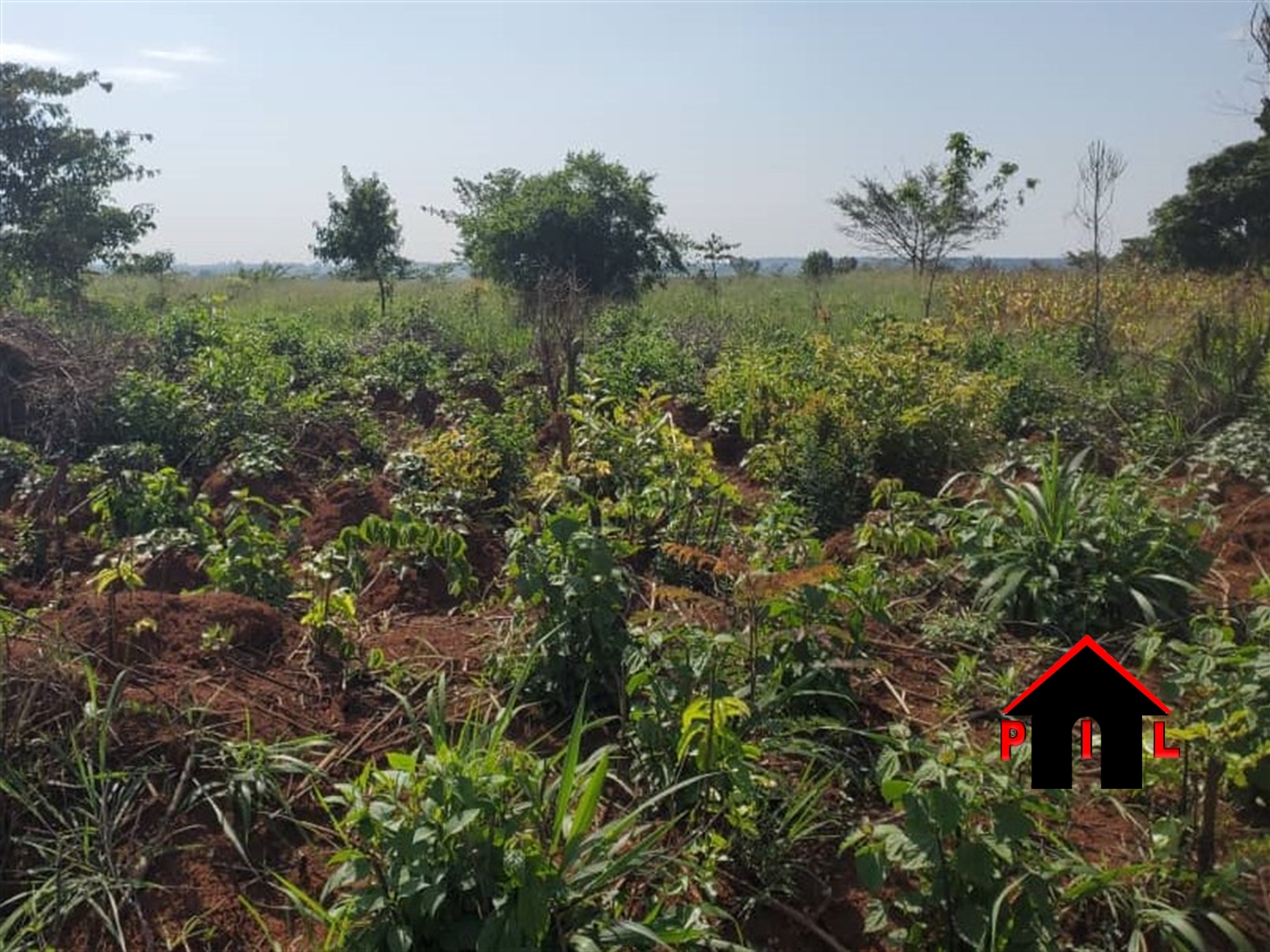 Residential Land for sale in Nakweelo Wakiso