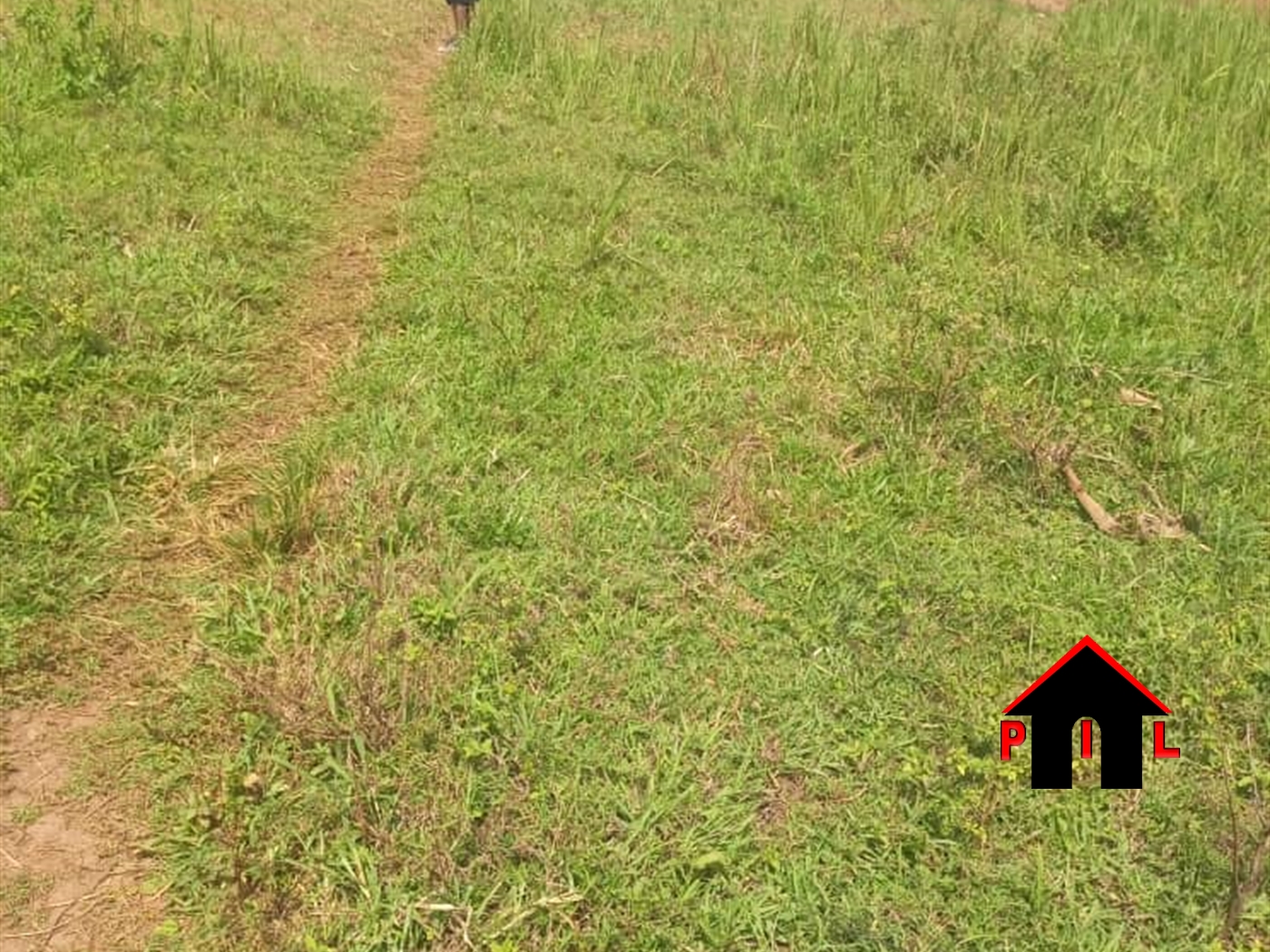 Residential Land for sale in Manyangwa Wakiso