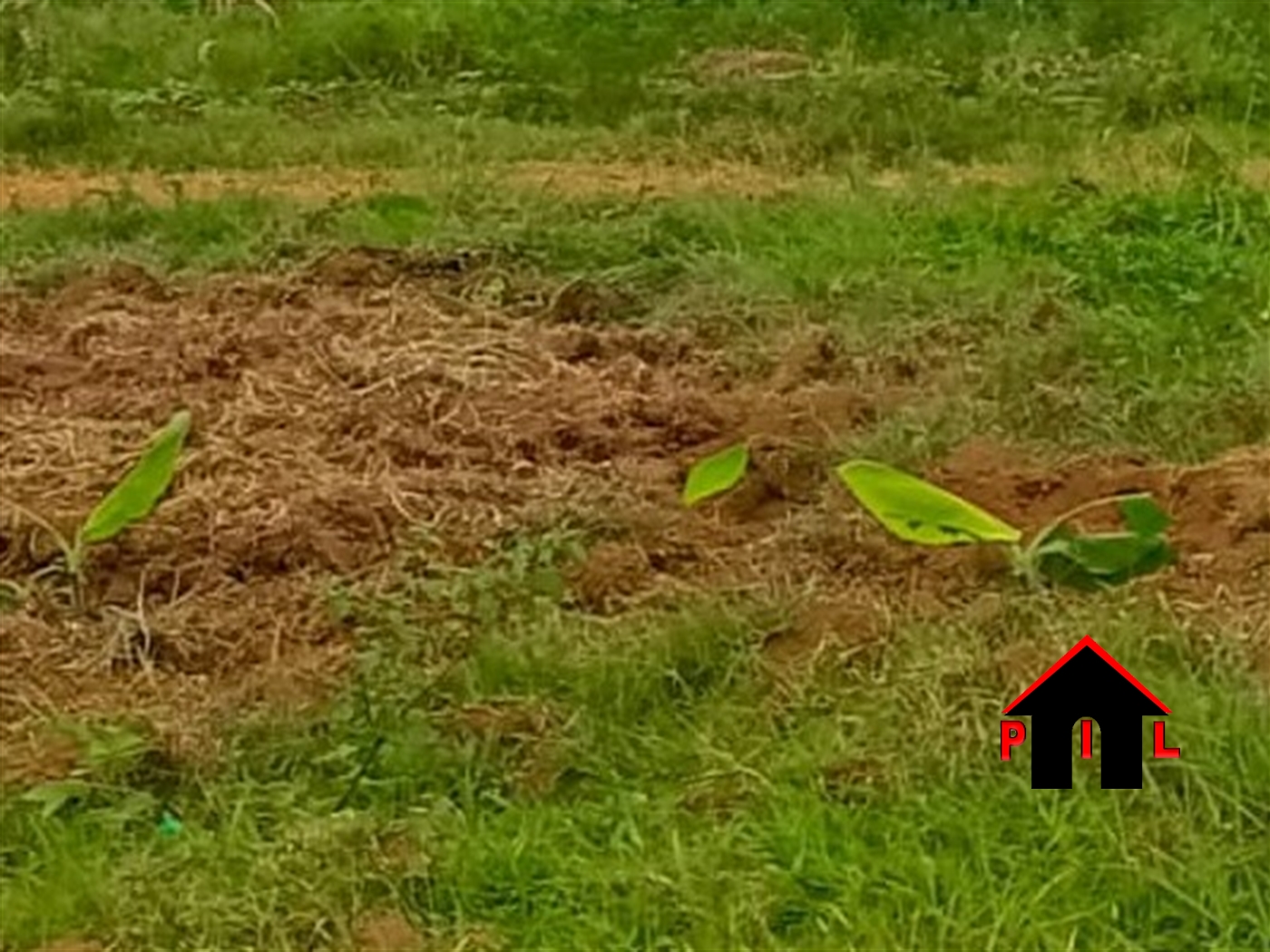 Residential Land for sale in Manyangwa Wakiso