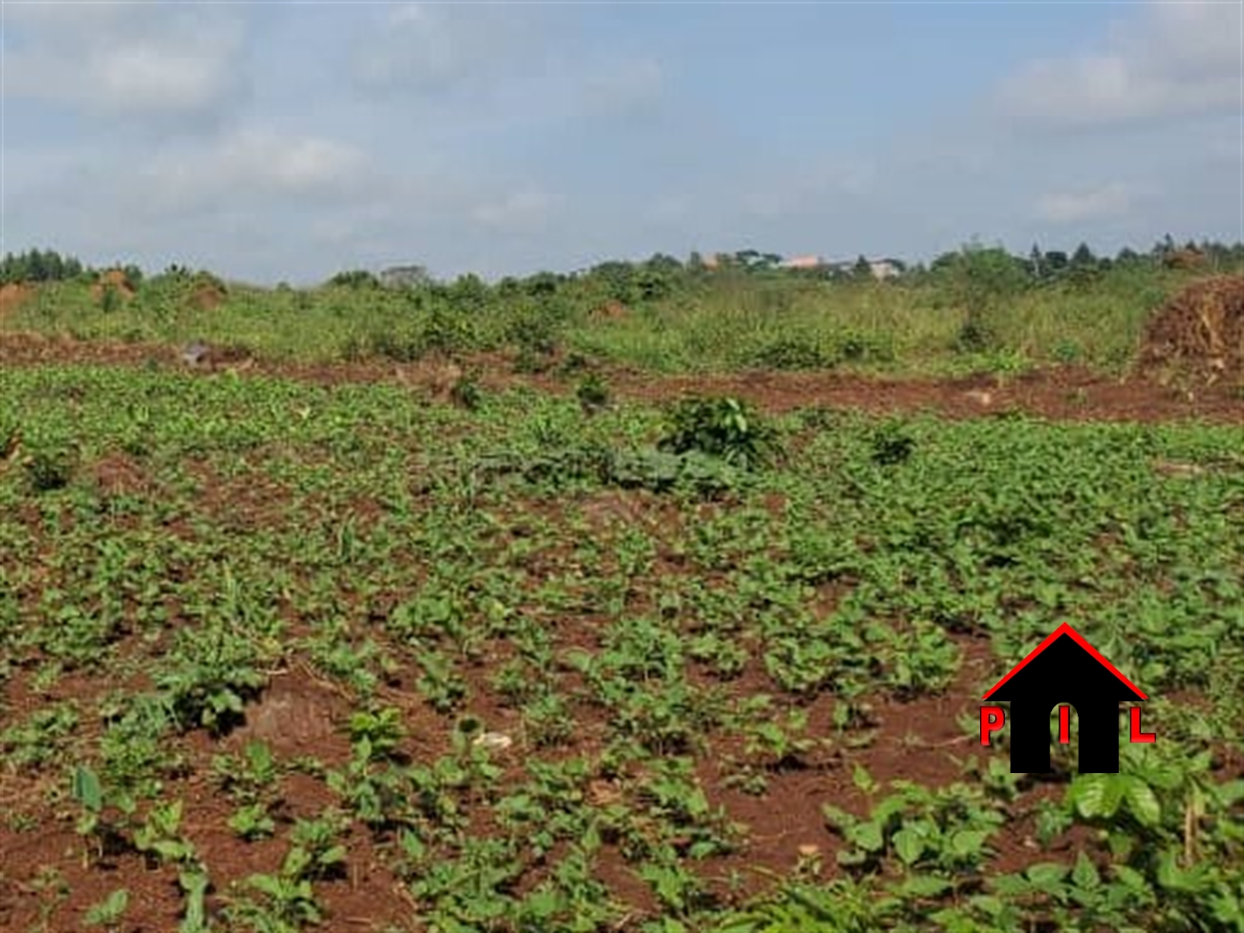 Residential Land for sale in Manyangwa Wakiso