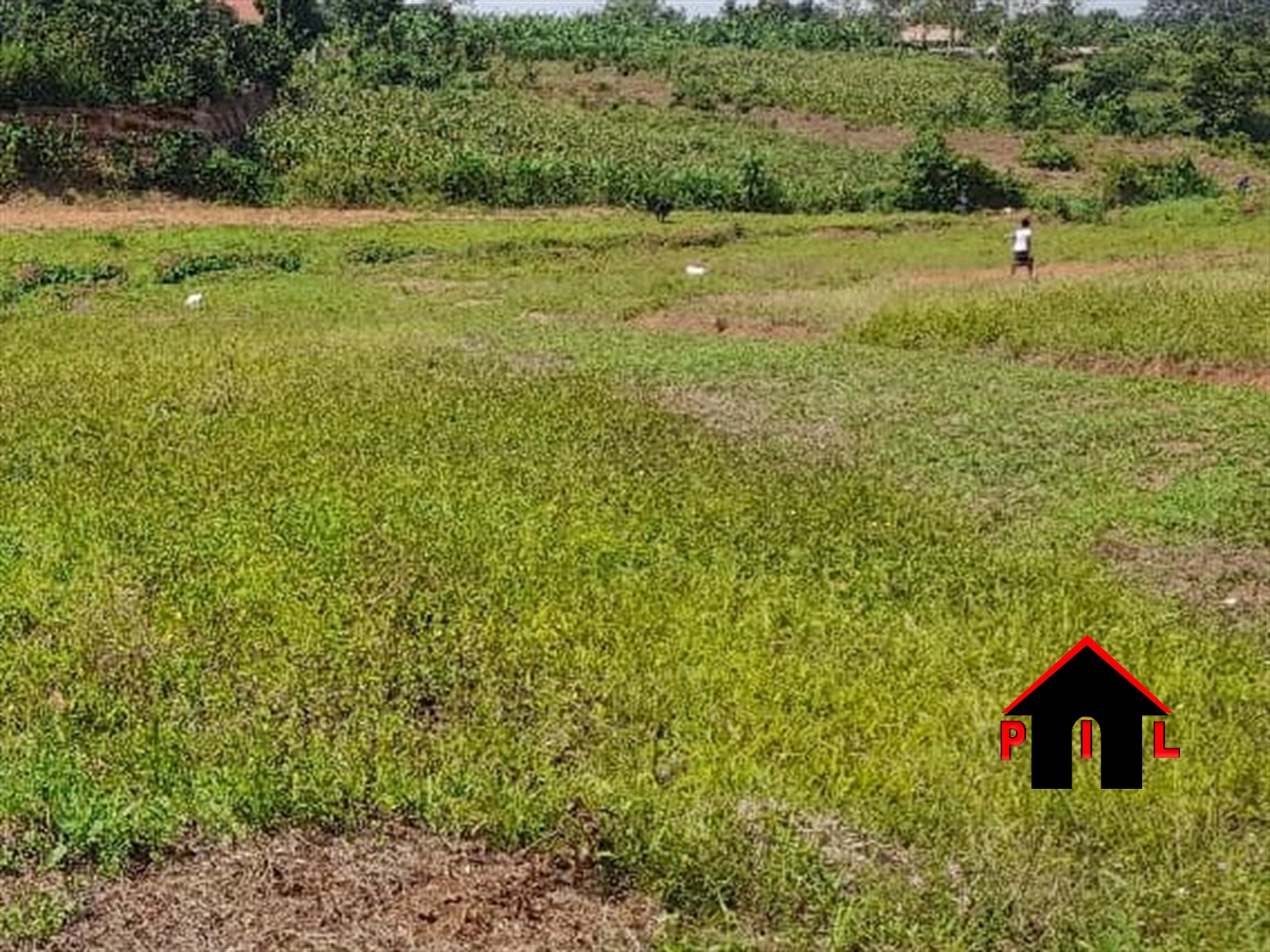 Residential Land for sale in Nalyamagonja Wakiso