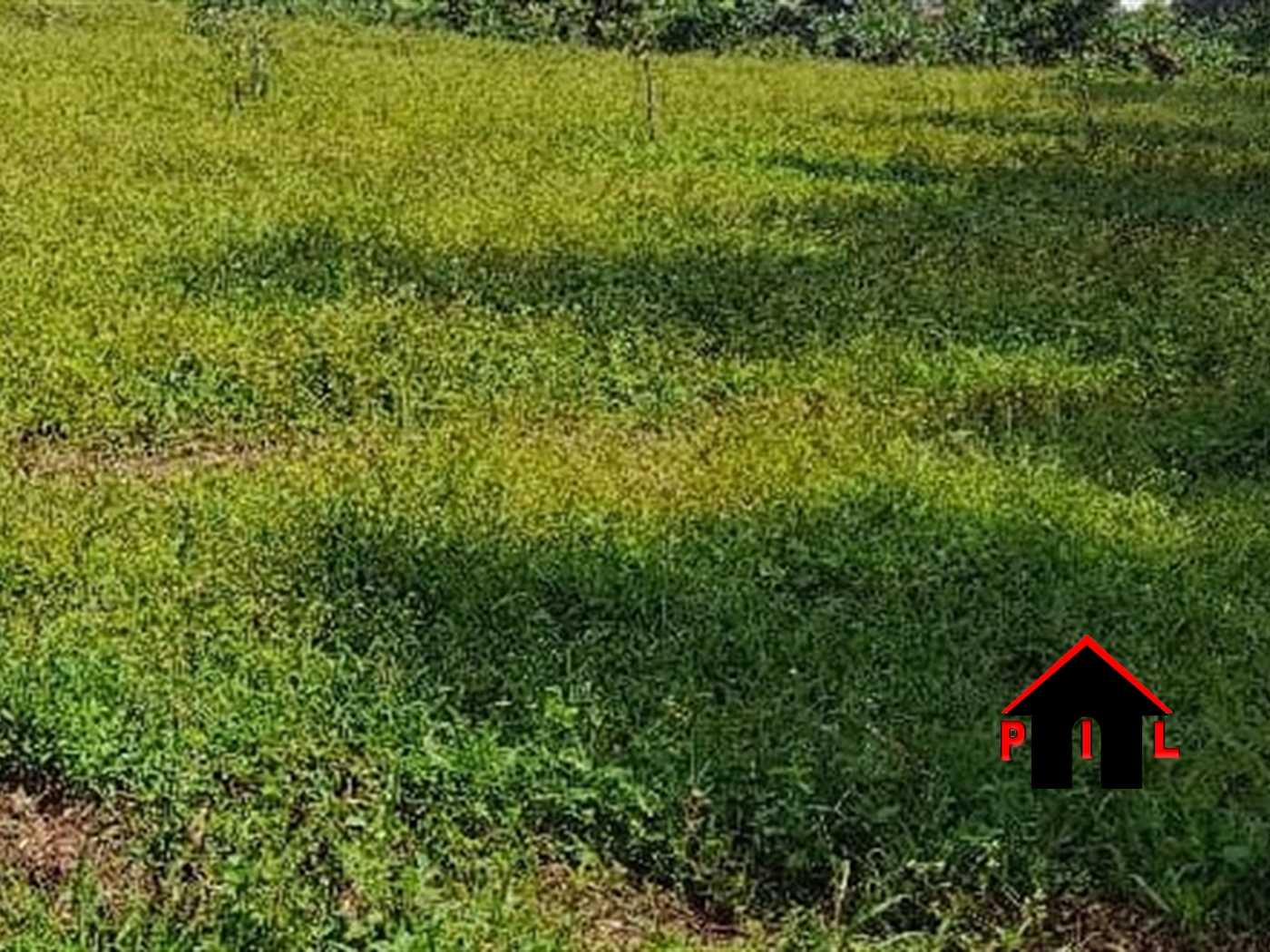 Residential Land for sale in Kiwenda Wakiso